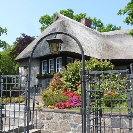 Landhaus Wilkens Баабе Екстериор снимка